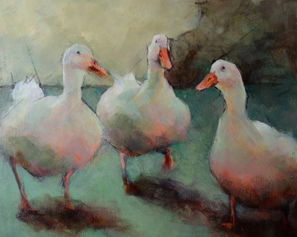 Three White Ducks <br/> 16 x 20